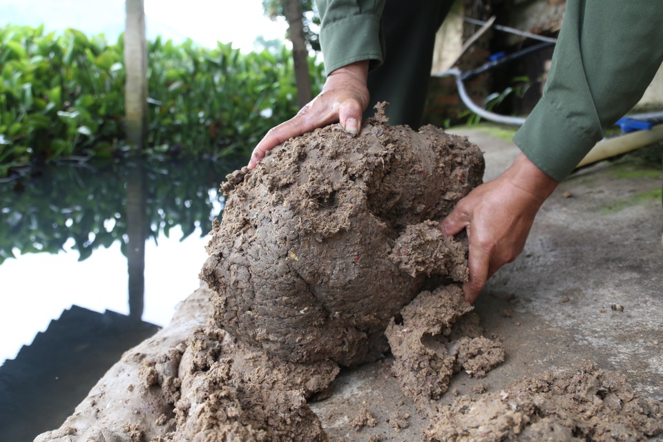 Nuôi con “chân vịt, thịt gà, da trâu, đầu rắn” thu tiền tỷ mỗi năm ở Sơn La - 2
