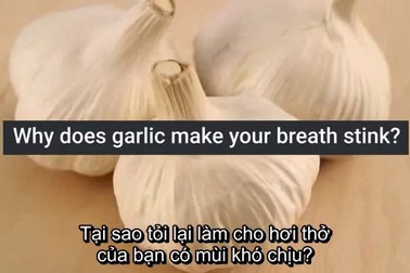 Tại sao ăn tỏi lại khiến cho hơi thở có mùi khó chịu?