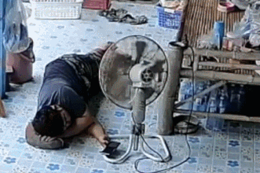 Thế giới động vật: Người đàn ông bất ngờ bị rắn cắn khi nằm ngủ ngoài hiên