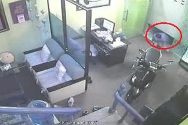 Cảnh giác "đạo chích" trong "tháng củ mật"