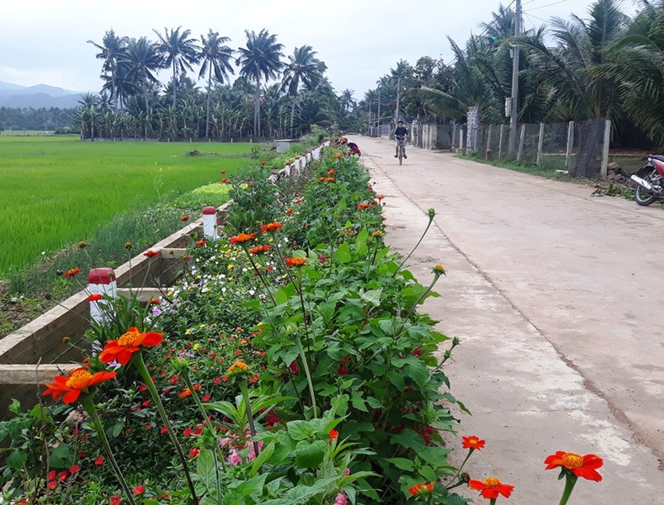 Cả làng “xin” hoa về trồng, đường quê Bình Định đẹp như tranh họa - 6 Cả làng “xin” hoa về trồng, đường quê Bình Định đẹp như tranh họa - 6