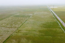 Thiệt hại nặng do mưa lớn bất thường tại nhiều địa phương