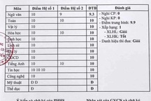 Một giáo viên Toán ở TPHCM nâng điểm cho 37 học sinh