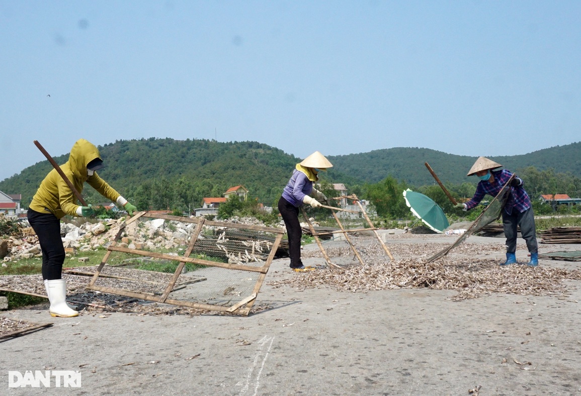 Nửa đêm mang cá đi rải, giữa trưa cầm gậy đập cật lực để lấy tiền - 7 Nửa đêm mang cá đi rải, giữa trưa cầm gậy đập cật lực để lấy tiền - 7