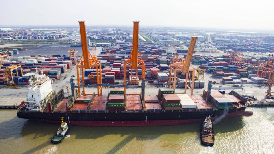 Chủ tàu Việt kêu trời vì cước chạm đáy, hàng lao dốc do Covid-19 - 2 Chủ tàu Việt kêu trời vì cước chạm đáy, hàng lao dốc do Covid-19 - 2