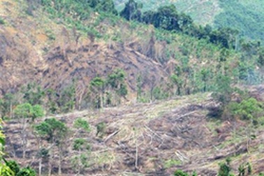 Người đàn ông mất tích khi đi tìm trâu