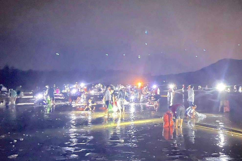Sau bão, người dân lại đổ xô ra biển hốt ngao - 2 Sau bão, người dân lại đổ xô ra biển hốt ngao - 2