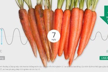 Nguyên tắc bảo quản thực phẩm của tủ lạnh Inverter đời mới các gia đình không thể bỏ qua