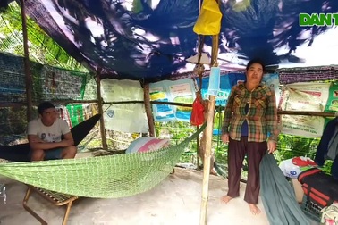 Căn chòi tạm của gia đình chị Liên