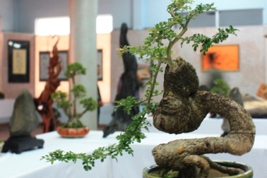 Khai mạc triển lãm mừng xuân Tân Mão