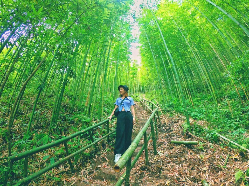 Dân phượt “phát sốt”, săn tìm rừng trúc đẹp như phim cổ trang ở Yên Bái - 2 Dân phượt “phát sốt”, săn tìm rừng trúc đẹp như phim cổ trang ở Yên Bái - 2