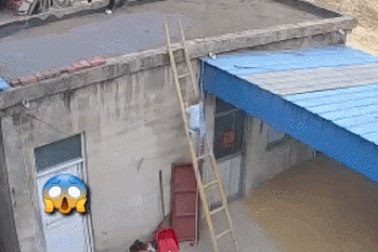 Clip "bố phản ứng nhanh cứu con nhỏ khỏi tai nạn" nổi bật tuần qua