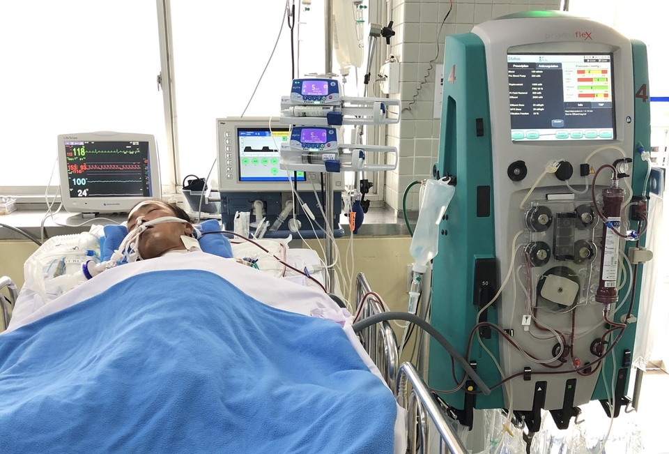 Bệnh nhân “ôm” rắn hổ chúa đi cấp cứu đang phải thở máy, lọc máu - 1 Bệnh nhân “ôm” rắn hổ chúa đi cấp cứu đang phải thở máy, lọc máu - 1