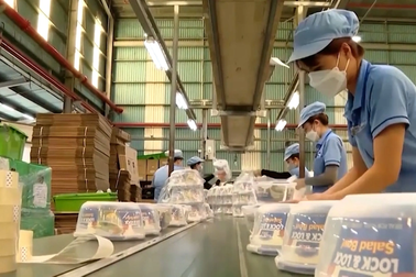 Bà Rịa - Vũng Tàu tham vọng gia nhập mạng lưới sản xuất và chuỗi giá trị toàn cầu