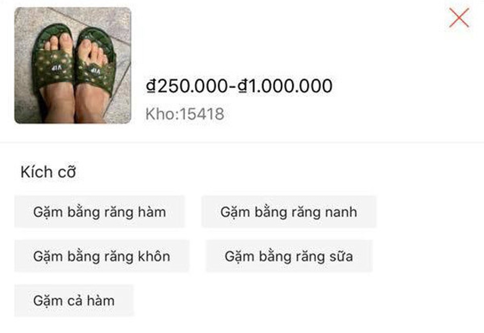 Đôi dép rách chó nhà gặm bán 1 triệu đồng - 2 Đôi dép rách chó nhà gặm bán 1 triệu đồng - 2