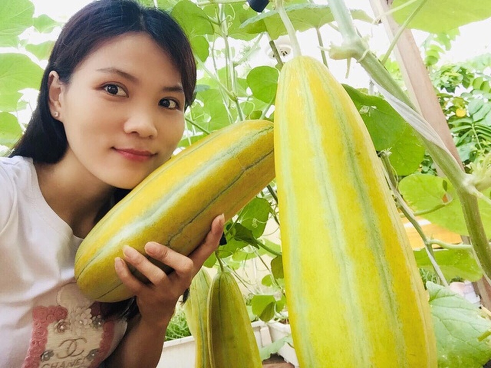 Cảnh trồng rau, nuôi gà, thả cá trên sân thượng của những nông dân phố - 4 Cảnh trồng rau, nuôi gà, thả cá trên sân thượng của những nông dân phố - 4