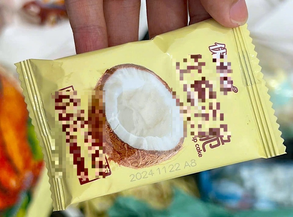 Bãi rác ở La Phù chất đống bánh kẹo nhãn hiệu lạ, thực phẩm hết hạn - 6 Bãi rác ở La Phù chất đống bánh kẹo nhãn hiệu lạ, thực phẩm hết hạn - 6