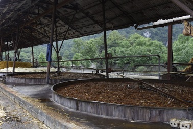 Vụ cá chết hàng loạt: Phát hiện một cơ sở xả thải không qua xử lý