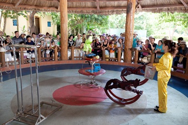 Vui trung thu tưng bừng tại Vinpearl Land