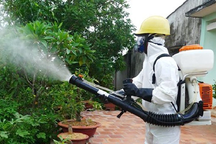 Hà Nội: Nhà nhà phun diệt muỗi diện rộng vì lo dịch, liệu có hiệu quả?
