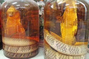 Rượu rắn đểu