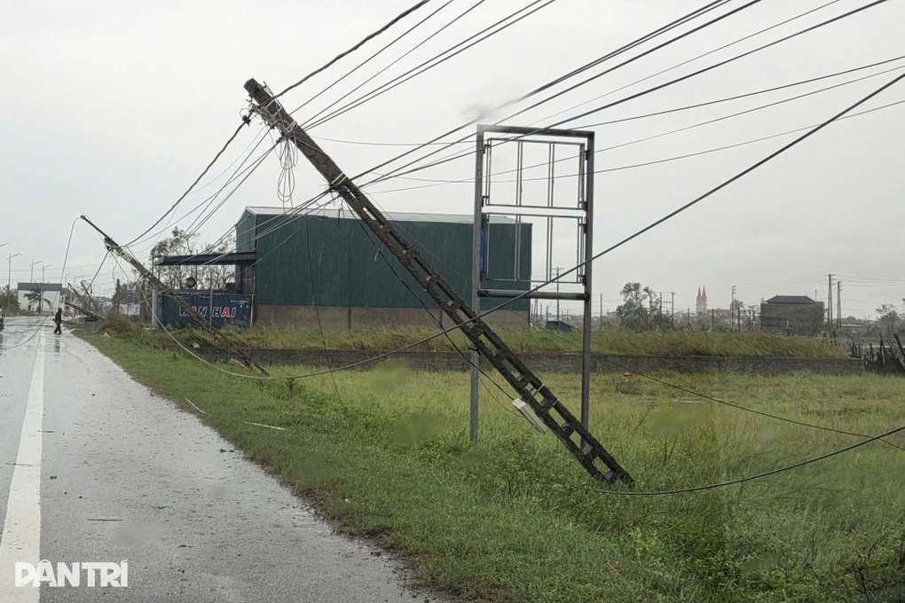 Điện lưới tê liệt sau bão Kajiki, chủ đầm “bán chạy” 50 vạn tôm chống lỗ - 3 Điện lưới tê liệt sau bão Kajiki, chủ đầm “bán chạy” 50 vạn tôm chống lỗ - 3