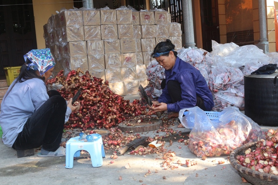 Hà Nam: Kiếm bộn tiền từ nồi cá kho làng “Vũ Đại” ngày cận Tết - 4 Hà Nam: Kiếm bộn tiền từ nồi cá kho làng “Vũ Đại” ngày cận Tết - 4