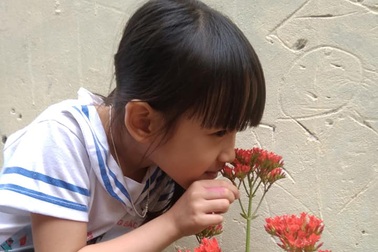 Mùa xuân cùng con trồng cây