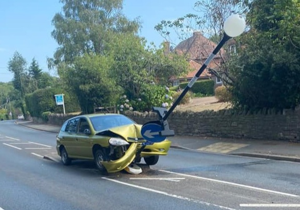 Mải đánh nhau với nhện, tài xế tông đổ cột đèn - 1 Mải đánh nhau với nhện, tài xế tông đổ cột đèn - 1