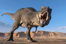 Khoa học tìm ra câu trả lời: Khủng long từ đâu đến?
