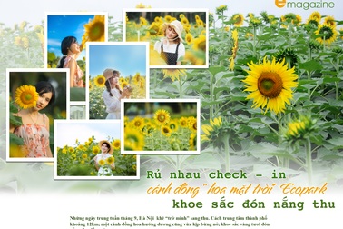 Ngắm cánh đồng hoa hướng dương rực rỡ, trải thảm vàng trong KĐT Ecopark