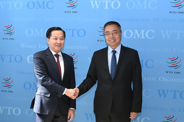Phó Thủ tướng Lê Minh Khái làm việc với lãnh đạo WTO