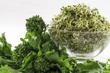 Giải pháp phòng, chống ung thư từ gốc hoàn toàn tự nhiên