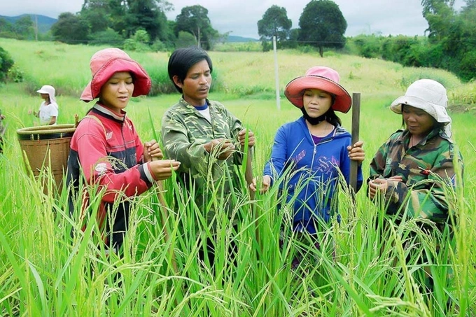 xóa đói giảm nghèo.jpg xóa đói giảm nghèo.jpg