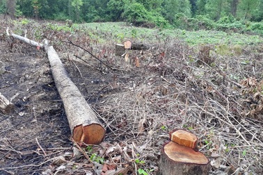 Nhức nhối tình trạng công khai “xà xẻo”, lấn chiếm đất rừng tại Quảng Trị!