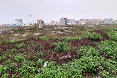 Điểm tên 11 dự án bị thu hồi ở Vĩnh Phúc