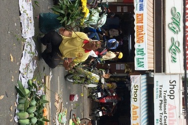 Chợ hoa Tết, vì sao không để tồn tại theo cơ chế cung - cầu?