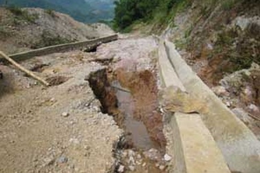 Mở đường vào rừng cấm