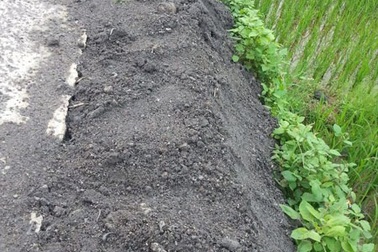 “Kỳ lạ” đường bê tông đắp lề bằng… xỉ than