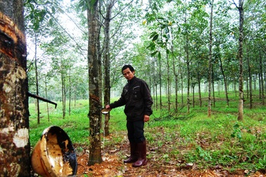 Hồi sinh kỳ diệu ở "vùng đất chết"