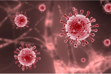 Nhật Bản phát hiện đột biến có thể khiến Delta nguy hiểm hơn