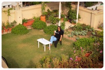 Mát mắt với khu vườn 240m2 trên sân thượng tầng 7 xanh tốt như nông trại