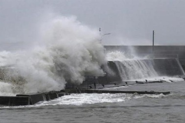 Một thủy thủ Việt Nam trong vụ chìm tàu trên vịnh Tokyo được cứu sống