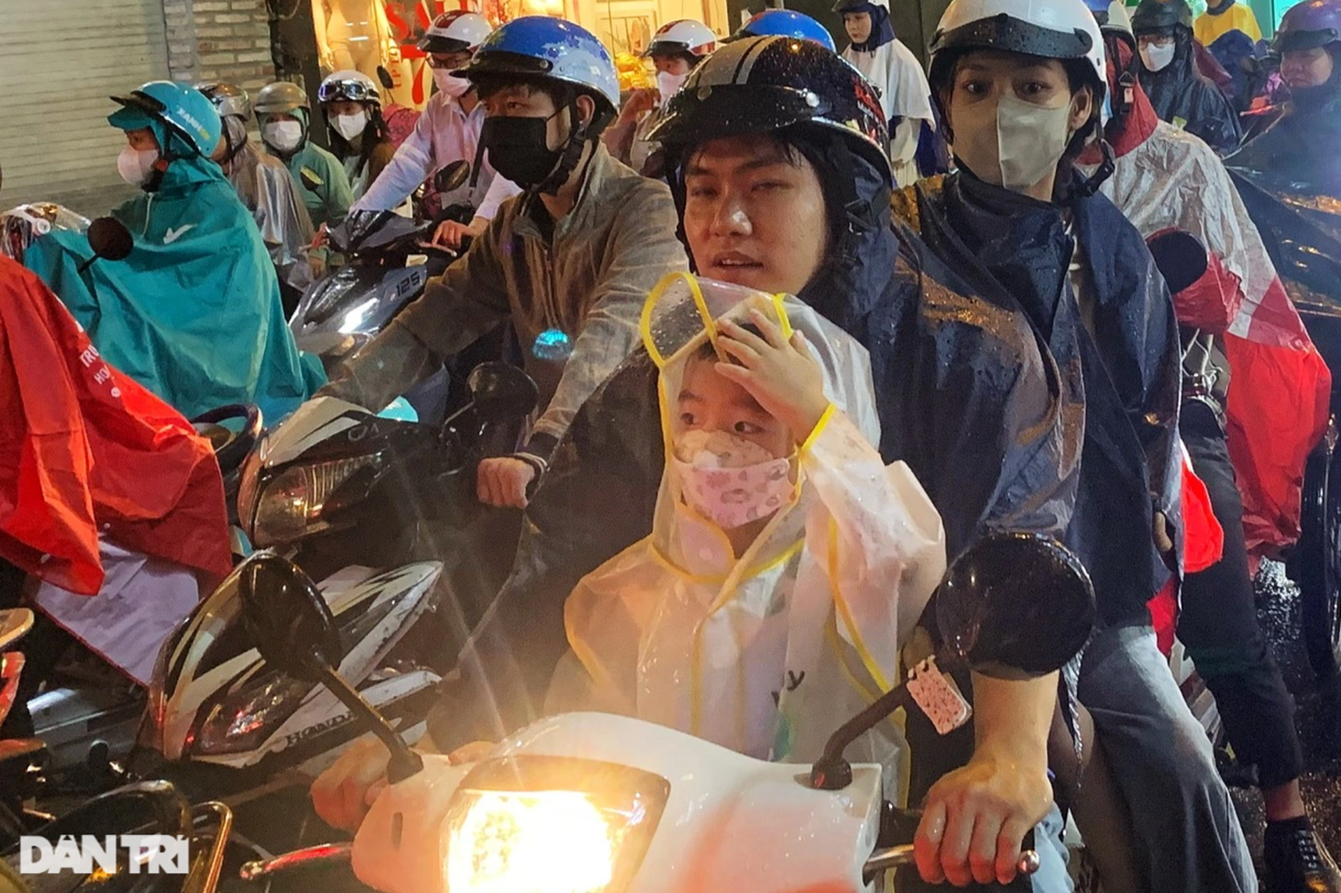 Cây bồ đề hàng chục năm tuổi bật gốc ở cửa ngõ sân bay Tân Sơn Nhất - 8 Cây bồ đề hàng chục năm tuổi bật gốc ở cửa ngõ sân bay Tân Sơn Nhất - 8