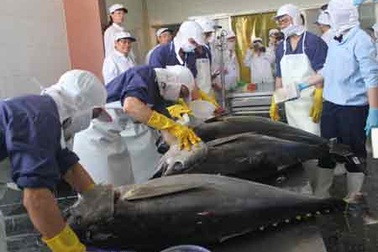 (Bài 3): Để nâng cao giá trị xuất khẩu cá Ngừ Đại Dương Việt Nam