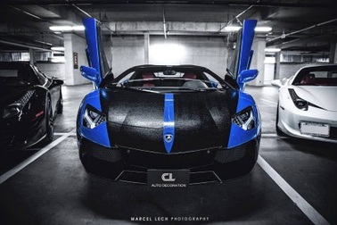 Siêu xe Lamborghini Aventador bọc da rắn