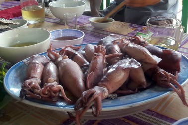 Biển Vũng Áng: khách thích thú thưởng thức đặc sản mực nhảy