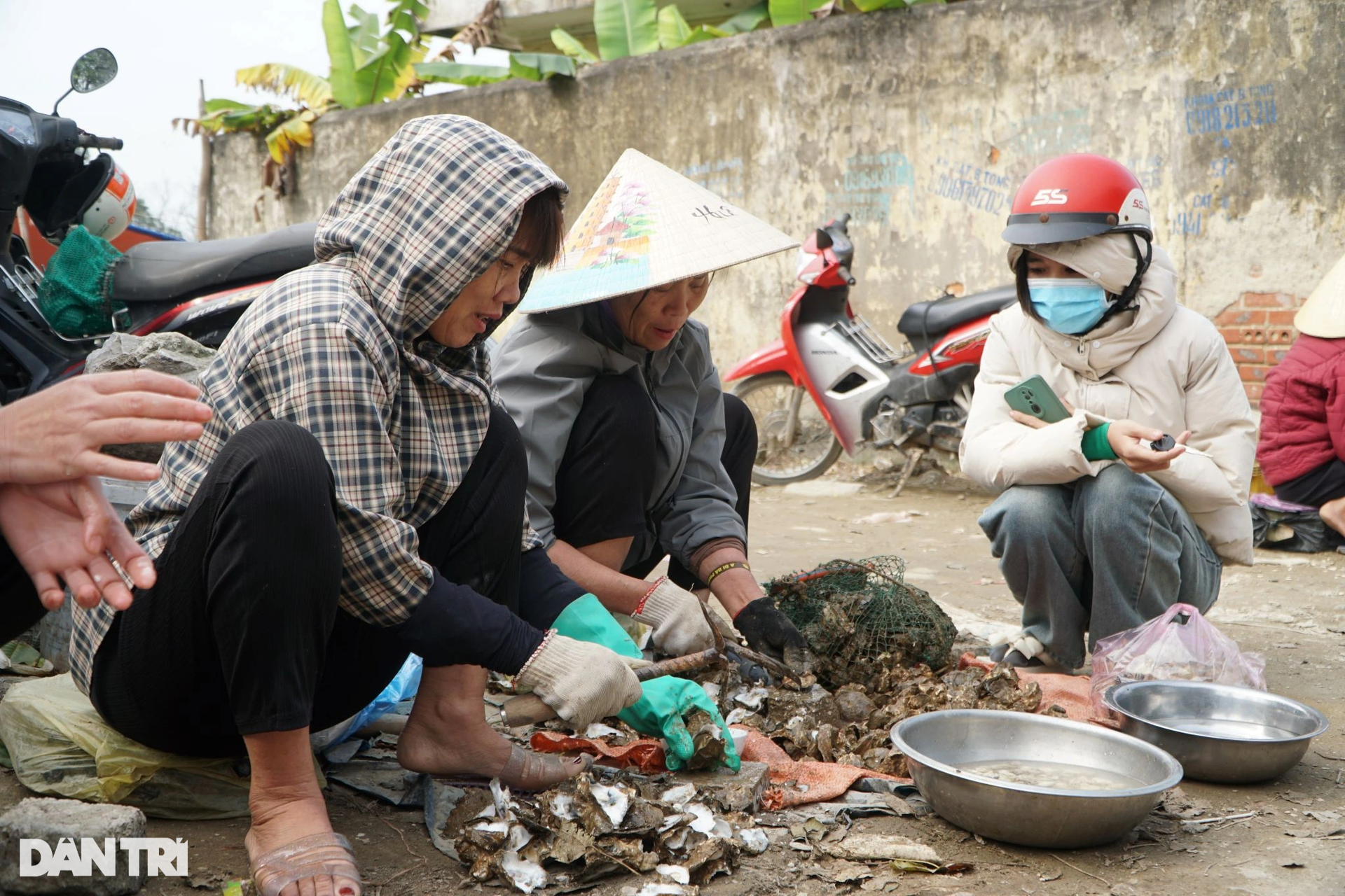 Đầu năm, cá khoai gần 1 triệu đồng một kg, người dân tranh nhau mua - 7