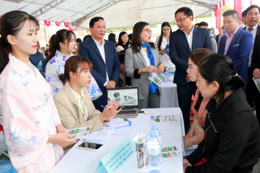 Tỷ lệ sinh viên ra trường có việc làm chót vót: "Số liệu "ma", dễ mà"!?