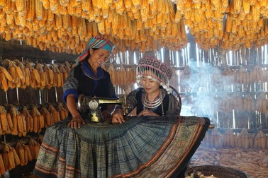Thanh niên Mù Cang Chải biến văn hóa Mông thành sinh kế